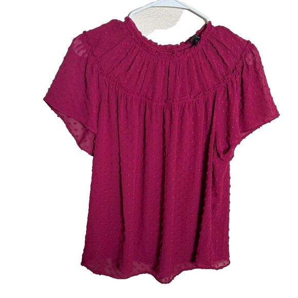 J Crew Blouse Women's Small Short Sleeve Polka Dot Lined Beery Pink Sheer Top - Picture 1 of 7